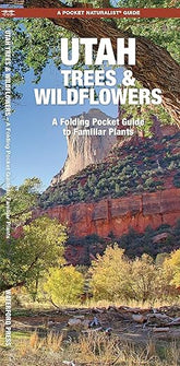 Pocket Naturalist Utah Trees and Wildflowers